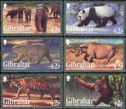Gibraltar 2011 Tiger/ Panda/ Polar Bear/ Elephant/ Rhino/ Animals/ Nature/ Wildlife 6v set (b8436c)