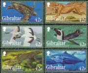 Gibraltar 2013 Cheetah/ Turtle/ Penguin/ Tuna/ Birds/ Animals/ Nature/ Wildlife 6v set (b8436g)