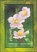 Grenada 1993 Christmas-rose/ Roses/ Flowers/ Plants/ Nature 1v m/s (b490u)