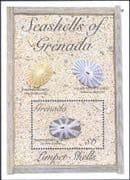 Grenada 1993 Limpet Shells/ Seashells/ Marine/ Sea Animals/ Nature 1v m/s (s745a)