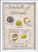 Grenada 1993 Nerite Shells/ Seashells/ Marine/ Sea Animals/ Nature 1v m/s (s745b)