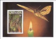 Grenada 1993 Titan Hawk Moth/ Moths/ Insects/ Nature/ Conservation 1v m/s (s3814a)
