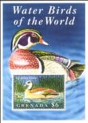Grenada 1995 Egyptian Goose/ Water Birds/ Geese/ Nature/ Wildlife 1v m/s (b5412g)