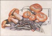 Grenada 1997 Fungi/ Mushrooms/ Caterpillar/ Insects/ Plants/ Nature 1v m/s (b7735c)