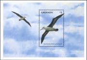 Grenada 1998 Albatross/ Seabirds/ Sea Birds/ Nature/ Wildlife 1v m/s (b5412c)