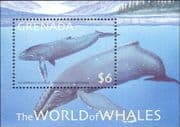 Grenada 2001 Whales/ Marine/ Sea Life/ Nature/ Animals/ Wildlife 1v m/s (b5640)