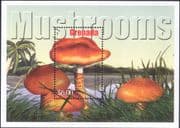 Grenada 2002 Fungi/ Mushrooms/ Plants/ Nature 1v m/s (s1836b)