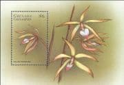 Grenadines of Grenada 1998 Orchids/ Nature/ Flowers/ Plants 1v m/s (b5311p)