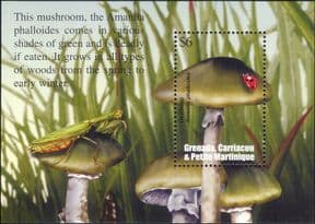 Grenadines of Grenada 2002  Fungi/ Ladybird/ Insects/ Grasshopper/ Nature  1v m/s  (s1836)