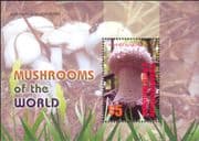 Grenadines of Grenada 2007 Fungi/ Mushrooms/ Plants/ Nature 1v m/s (n26521)