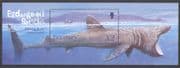 Guernsey 2005 Basking Shark/ Marine/ Endangered Species/ Nature/ Wildlife 1v m/s (n26844)