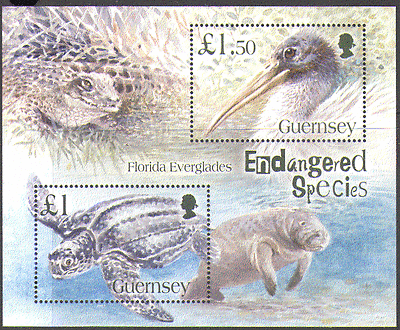 Guernsey 2006 Atlantic TURTLE / BIRD / REPTILE sht n15320