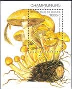 Guinea 1995 FUNGI/ Nature/ Plants/ Mushrooms 1v m/s (n14048)