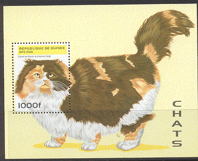 Guinea 1996 Cats / Pets / Animals m / s ref:b10136