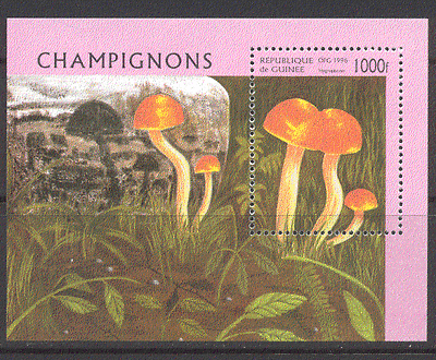 Guinea 1996 Fungi / Mushrooms / Nature m / s ref:b10133