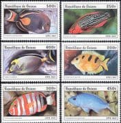 Guinea 1997 Fish/ Marine/ Nature/ Wildlife/ Parrotfish/ Tuskfish 6v set (b5255)
