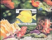 Guinea 1997 Fish/ Marine/ Nature/ Wildlife/ Yellow Tang/ Coral/ Reef 1v m/s (b5255)