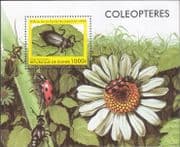 Guinea 1998 Beetles/ Insects/ Nature/ Wildlife 1v m/s (s5559b)