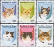 Guinea 1998 Domestic Cats/ Pets/ Animals/ Nature 6v set (b3610)