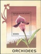 Guinea 2000 Orchids/ Flowers/ Plants/ Nature 1v m/s (b5311a)