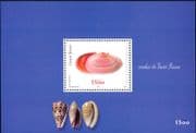 Guinea Bissau 2002 Tellina/ Sea Shells/ Marine/ Nature/ Molluscs/ Animals 1v m/s (s3312a)