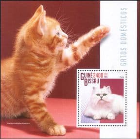 Guinea-Bissau 2015  Domestic Cats/ Pets/ Animals/ Nature/ Persian  1v m/s  (s2885e)