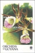 Guyana 1990 Orchids/ Nature/ Flowers/ Plants/ "EXPO '90" 1v m/s (b5311s)