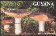 Guyana 1991 Fungi / Mushrooms / Plants / Nature 1v m / s (b2465)