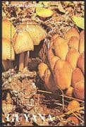 Guyana 1991 Fungi / Mushrooms / Plants / Nature 1v m / s (b2470)