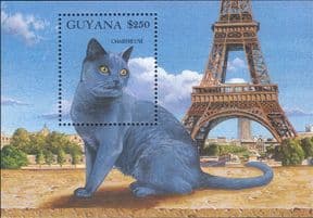 Guyana 1992  Chartreuse/ Domestic Cats/ Animals/ Nature/ Pets/ Eiffel Tower  1v m/s  (b674y)