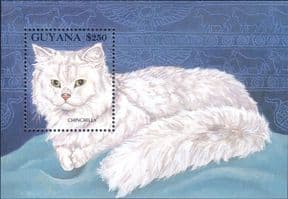 Guyana 1992  Chinchilla/ Domestic Cats/ Animals/ Nature/ Pets  1v m/s (b2105a)