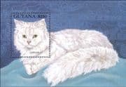 Guyana 1992 Chinchilla/ Domestic Cats/ Animals/ Nature/ Pets 1v m/s (b2105a)