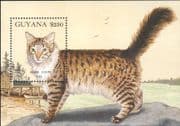 Guyana 1992 Maine Coon/ Domestic Cats/ Animals/ Nature/ Pets 1v m/s (b2105c)