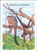 Guyana 1992 Night Monkey/ Spider Monkey/ Animals/ Nature/ Wildlife 1v m/s (b4372q)