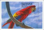 Guyana 1993 Scarlet Macaw/ Parrots/ Birds/ Nature/ Wildlife 1v m/s (b9788n)