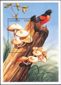 Guyana 1997  Fungi/ Mushrooms/ Nature/ Plants  1v m/s  (s1836n)