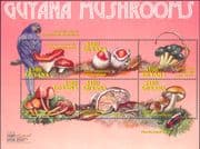 Guyana 2000 Fungi/ Mushrooms/ Plants/ Nature/ Macaw/ Beetle/ Birds/ Insects 6v m/s (b2232t)
