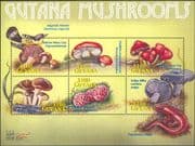 Guyana 2000 Fungi/ Mushrooms/ Plants/ Nature/ Warbler/ Birds/ Salamander/ Animals 6v m/s (b2232s)