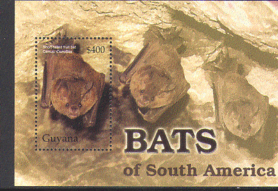 Guyana 2005 BATS / Animals / Wildlife / Fauna 1v m / s (n13347)