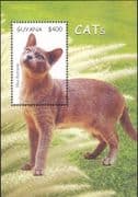 Guyana 2007 Blue Burmese / Domestic Cats/ Animals/ Nature/ Pets 1v m/s (b2105d)