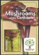 Guyana 2011 Mushrooms / Fungi / Nature / International Forests Year 1v m / s (n40852)