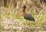 Guyana 2012 Glossy Ibis/ Birds/ Nature/ Wildlife/ Conservation 1v m/s (b2279a)