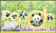 Hong Kong-China 1999 Giant Pandas/ Wildlife/ Nature/ Animals/ Conservation/ Environment 1v m/s (b4370)