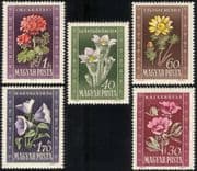 Hungary 1950 Peonies/ Geraniums/ Campanulas/ Pasque Flowers/ Plants/ Nature 5v set (n44693)