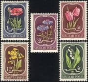 Hungary 1951 Poppy/ Tulip/ Cornflowers/ Flowers/ Plants/ Nature/ poppies 5v set (n44694)