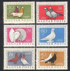 Hungary 1957 Pigeons  /  Pigeon Fanciers Exhibition  /  Birds  /  Nature 6v set (n36716)