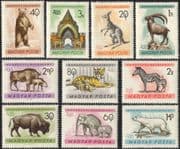 Hungary 1961 Budapest Zoo/ Elephant/ Zebra/ Tiger/ Bears/ Bison/ Kangaroo/ Animals/ Nature/ Wildlife/ Conservation 10v set (n44968)