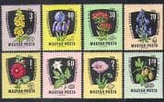 Hungary 1961 Poppy / Iris / Flowers / Medicinal Plants / Nature / Medical 8v set (n36803)