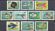Hungary 1962 Tropical Fish / Ornamental / Aquaria / Discus / Tetra / Nature 10v set n39864