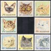 Hungary 1968 Cats / Pets / Domestic Animals / Nature / Kitten 8v set (n39951)
